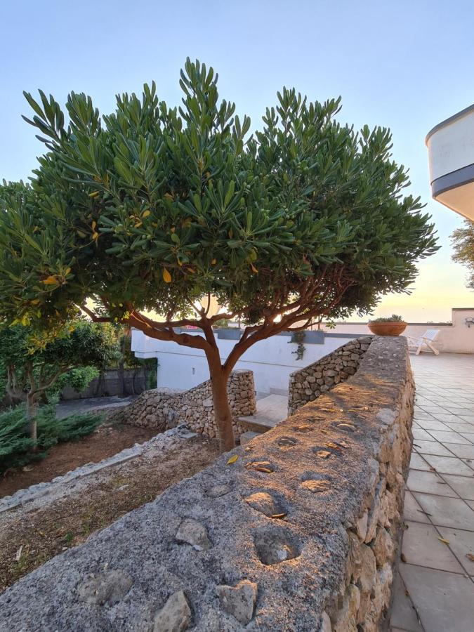 Villa Panoramica Sunset House ตอร์เรวาโด ภายนอก รูปภาพ
