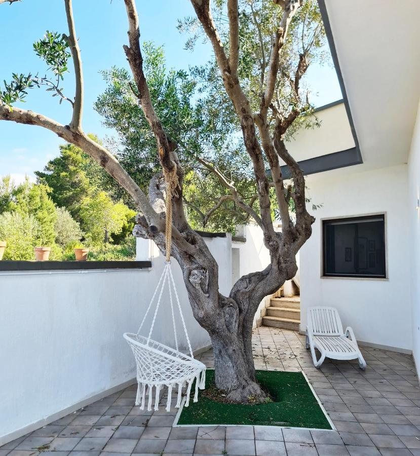Villa Panoramica Sunset House ตอร์เรวาโด ภายนอก รูปภาพ